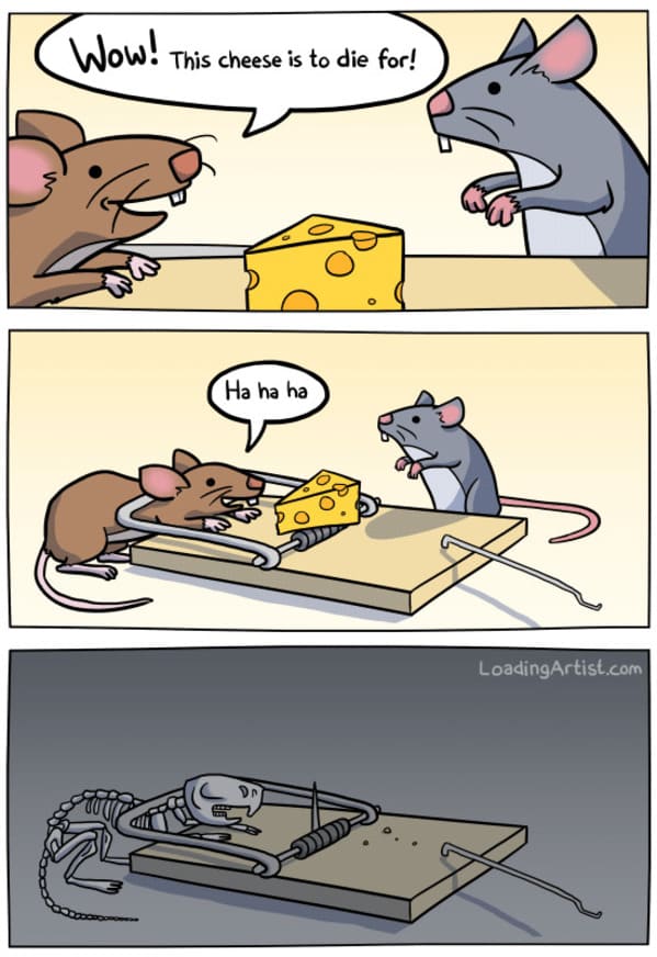 dark humor memes - mouse trap cheese is to die for