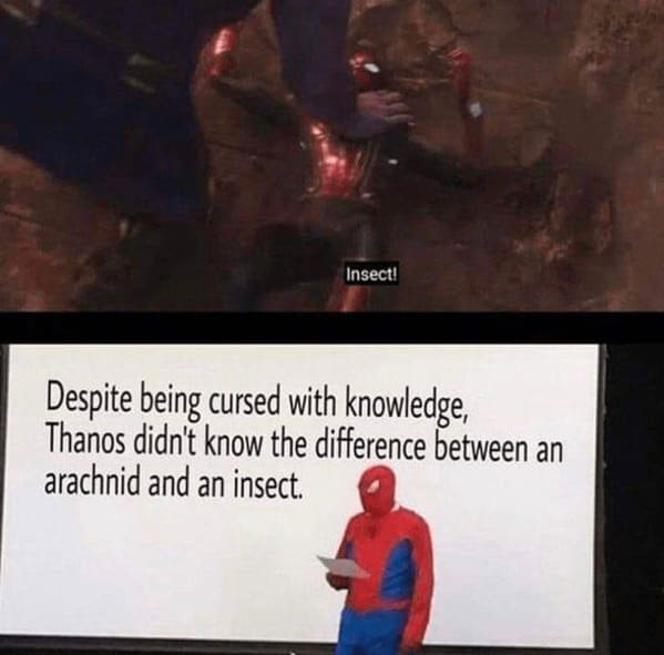 earth day memes - despite being cursed with knowledge Thanos didn't know the difference between an arachnid and an insect