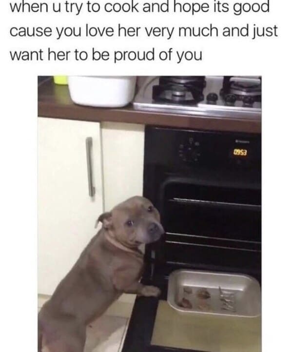 wholesome relationship memes - dog u try cook and hope its good cause love her very much and just want her be proud