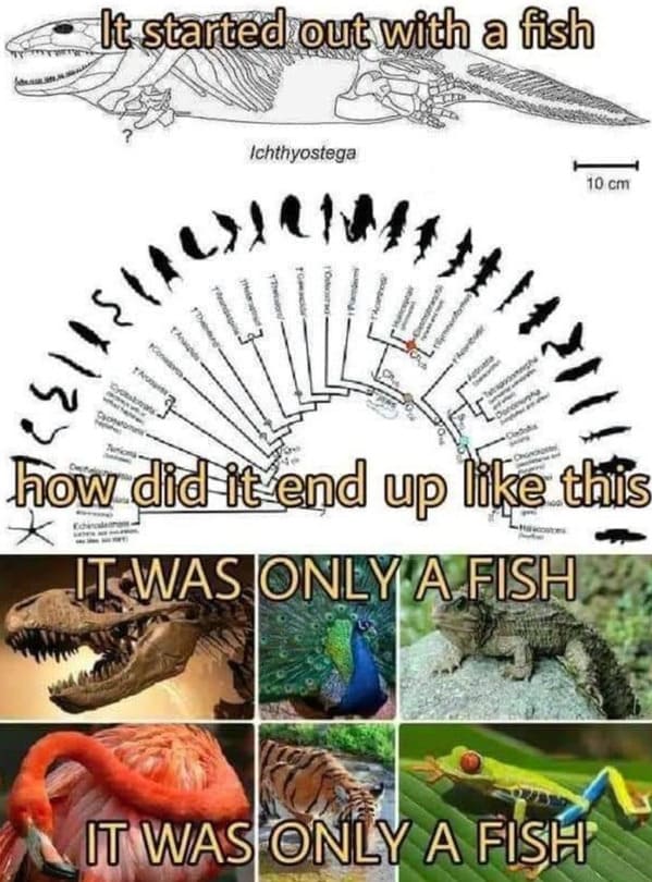 earth day memes - it started with a fish how did it end up like this