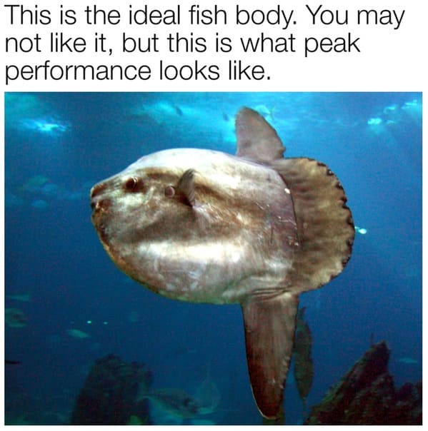 earth day memes - ideal fish body