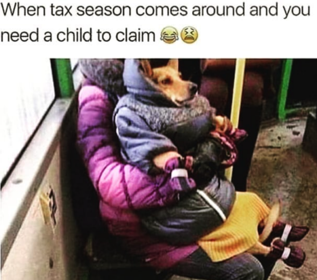 30+ Funny Tax Memes That Won't Help You Do Your Taxes But Will Make You