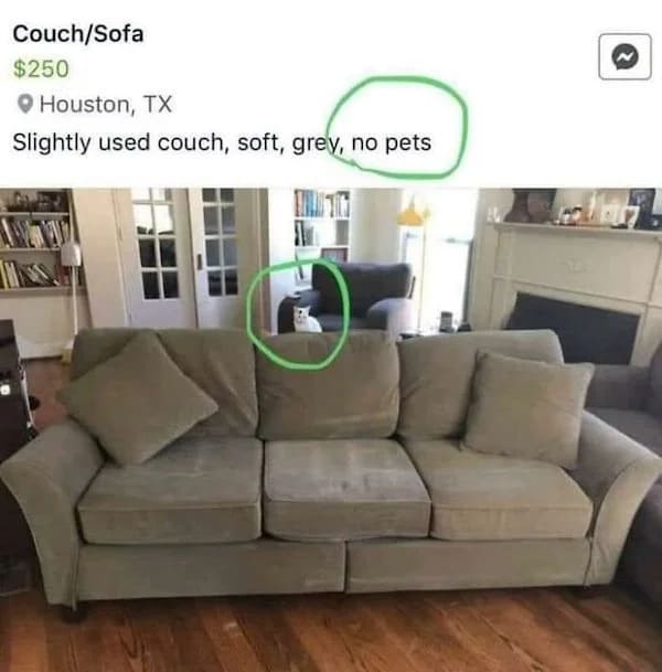 funny fail pic - sofa with no pets