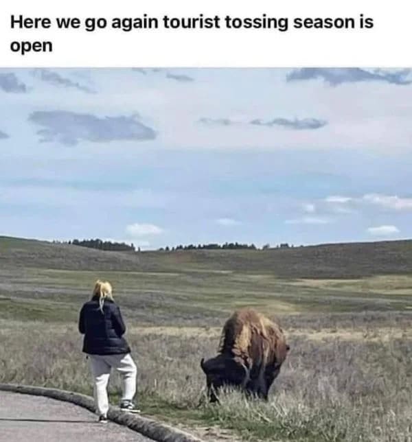funny fail pic - tourist tossing season