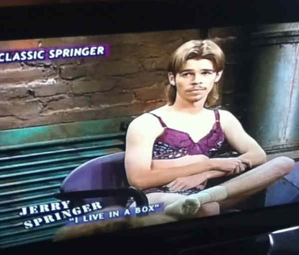 funny jerry springer pics - i live in a box