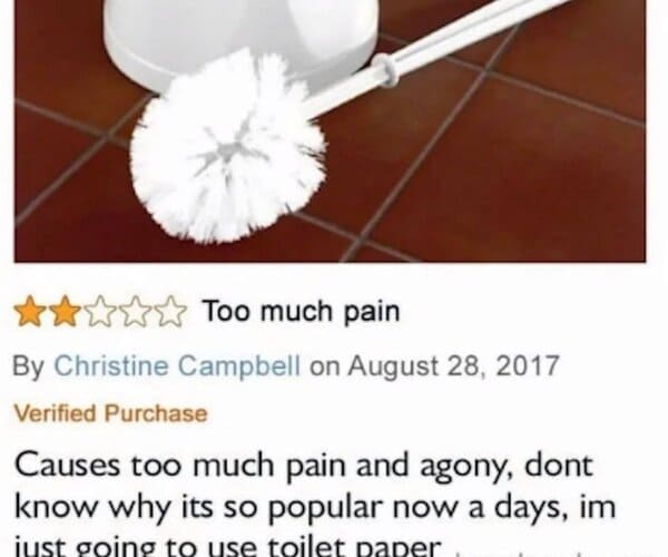 funny review - toilet brush too much pain