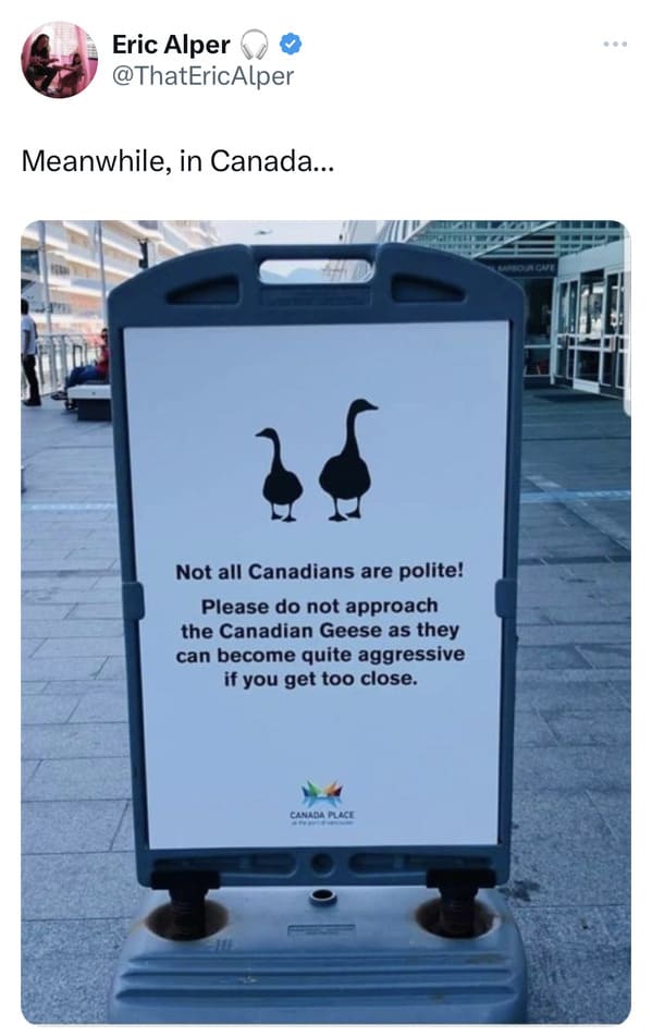 funny canadian tweets - sign geese warning
