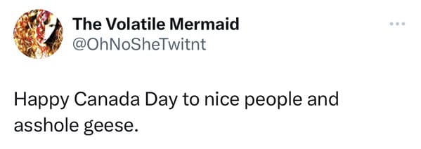 funny canadian tweets - canada day