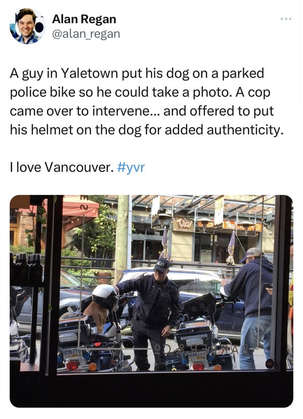 funny canadian tweets - cop put helmet on dog vancouver