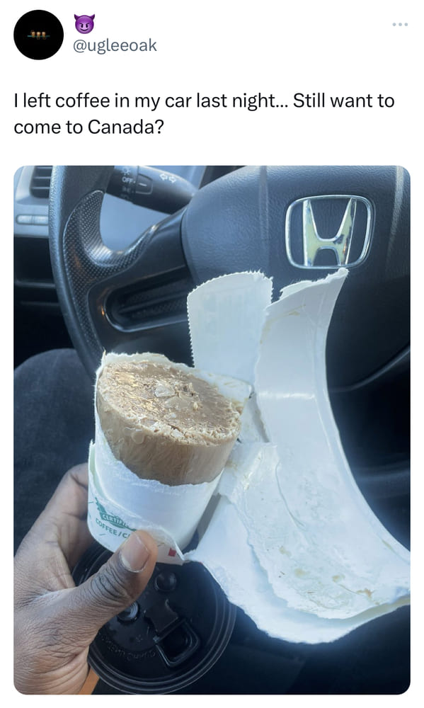 funny canadian tweets - coffee froze in car overnight