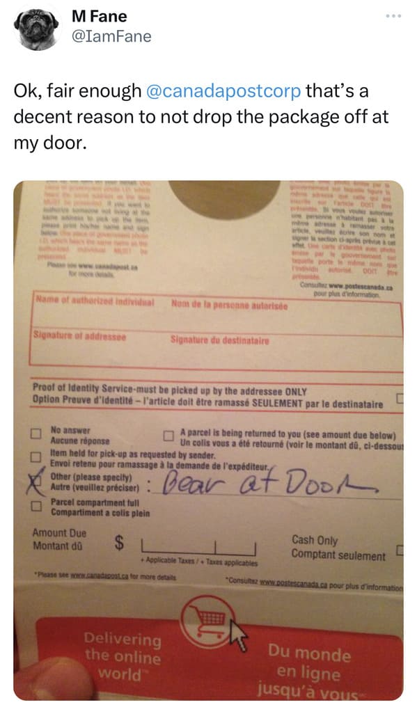 funny canadian tweets - bear at door delivery