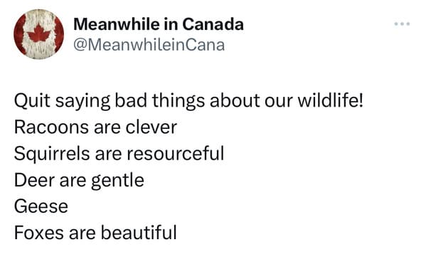 funny canadian tweets - canadian wildlife