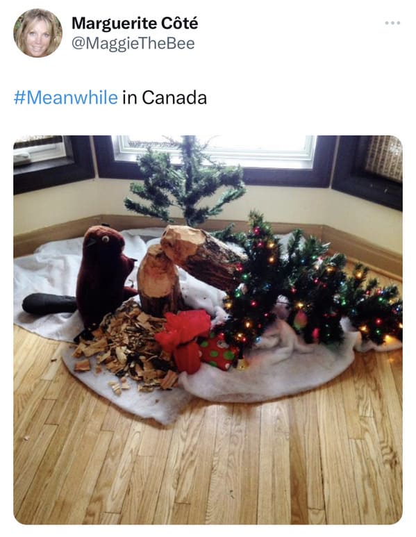 funny canadian tweets - beaver christmas tree