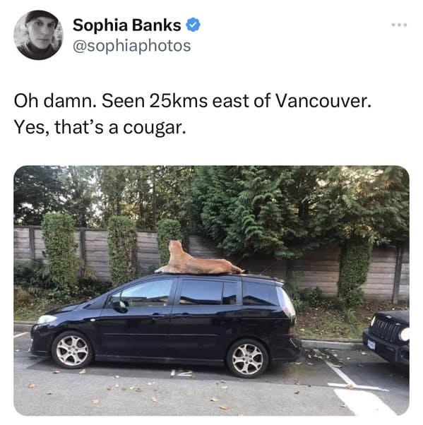 funny canadian tweets - cougar on top of car vancouver