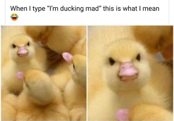 easter memes - ducking mad chick