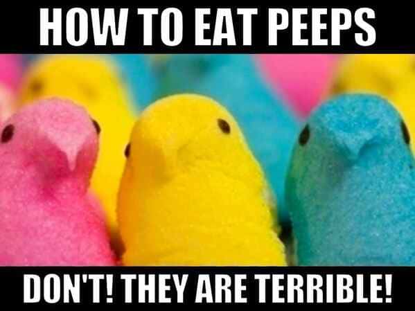 easter memes - how to eat peeps don't