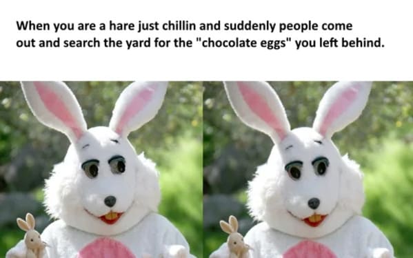 easter memes - easter bunny chocolate eggs