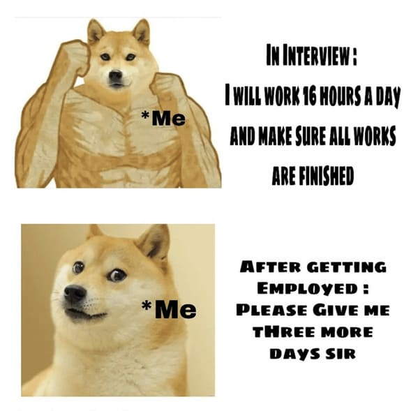 job interview memes - shiba inu