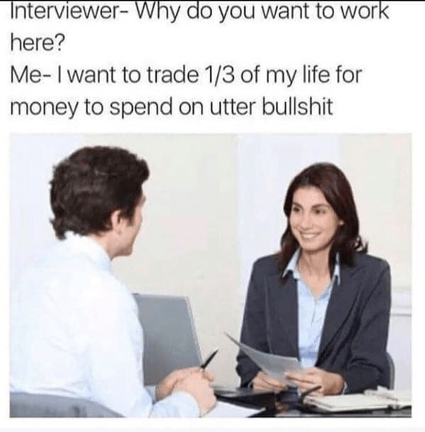 job interview memes - why do you want to work here