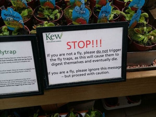 funny signs reddit - fly trap