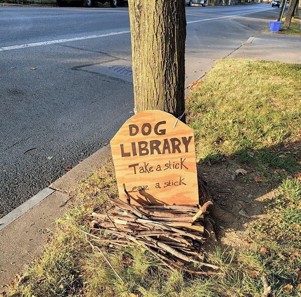 funny signs reddit - dog library take a stick leave a stick