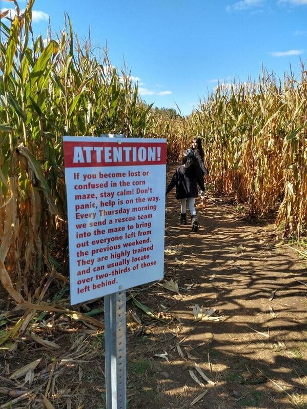 funny signs reddit - corn maze