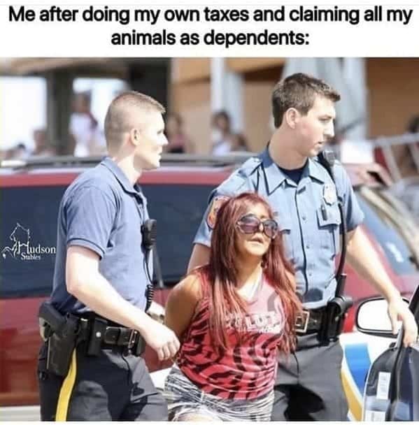 funny tax memes - Snookie arrested
