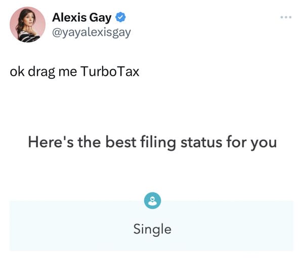 funny tax memes - here's the best filing status for you single