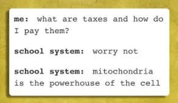 funny tax memes - what are taxes