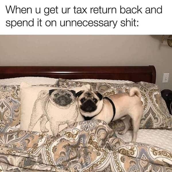 funny tax memes - dog pillow