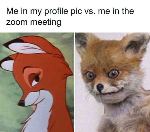 zoom meme - me in my profile pic vs me on camera