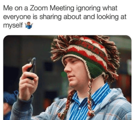 zoom meme - ignoring the zoom meeting and looking at myself