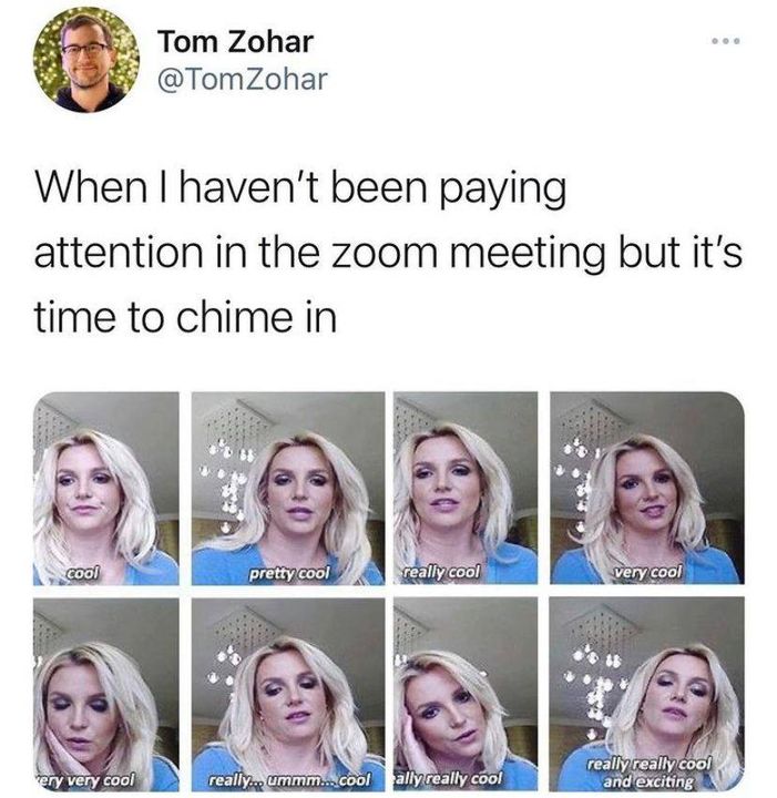 zoom meme - my time to chime in