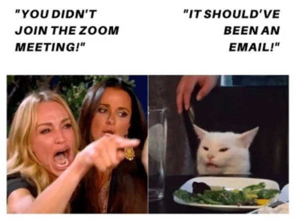 zoom meme - this could have been an email