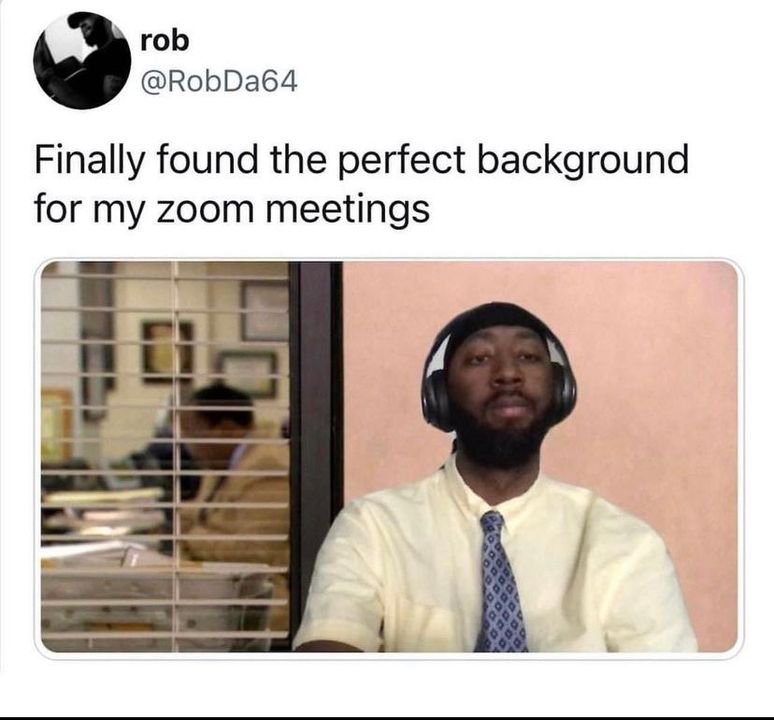 zoom meme - best background for zoom meetings