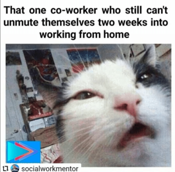 zoom meme - coworker who can't unmute themselves