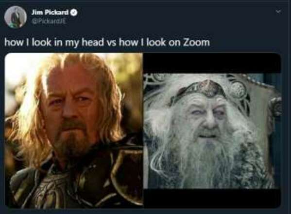 zoom meme - how i look vs how i think i look on zoom calls