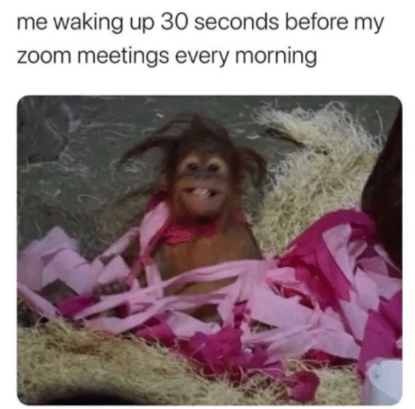 zoom meme - waking up 30 seconds before the zoom meeting