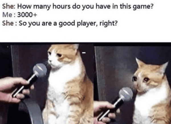 funny gaming meme - how many hours do you have in this game?