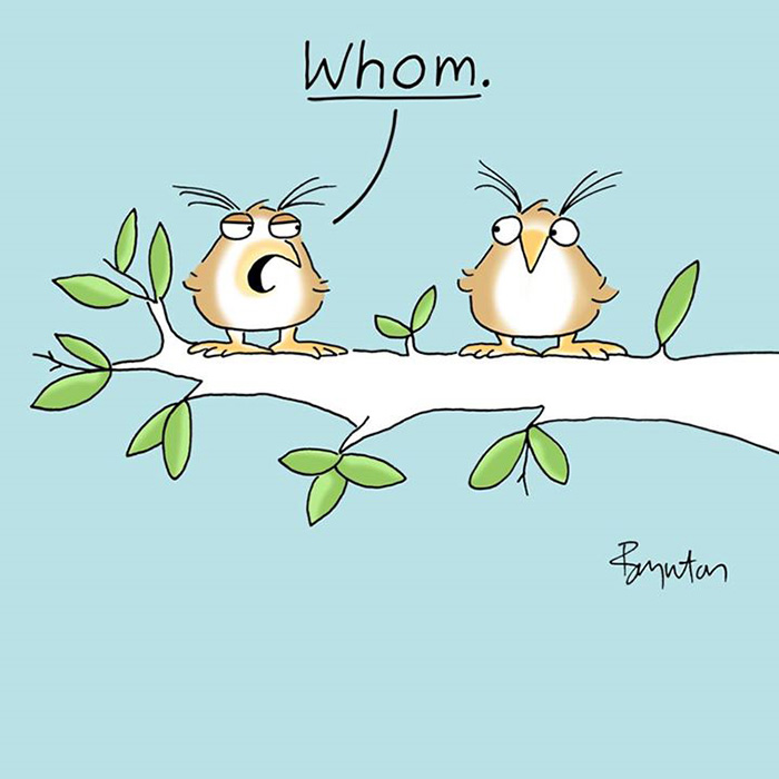 funny grammar comic - who whom owls