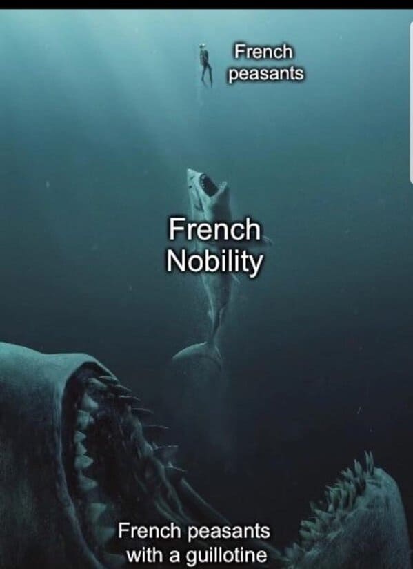 history memes funny - shark eating shark french