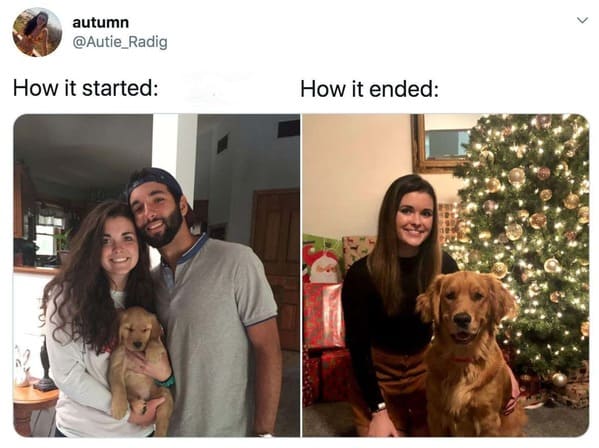 wholesome how it started vs how it's going memes - girl boyfriend dog breakup Christmas tree