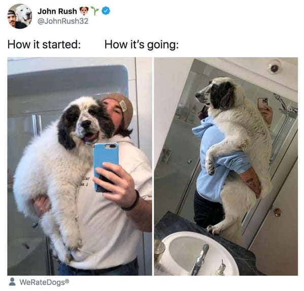 wholesome how it started vs how it's going memes - person holding dog over shoulder
