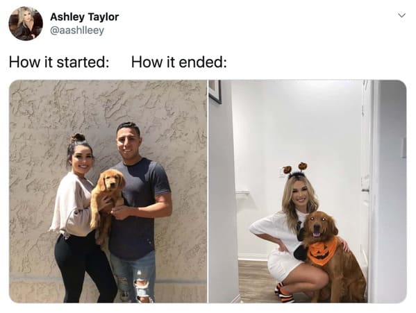 wholesome how it started vs how it's going memes -girl boyfriend dog broke up