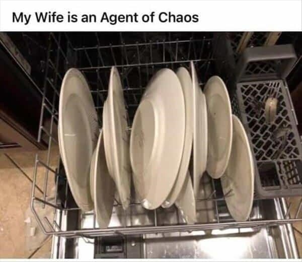 married couple fail - my wife is an agent of chaos