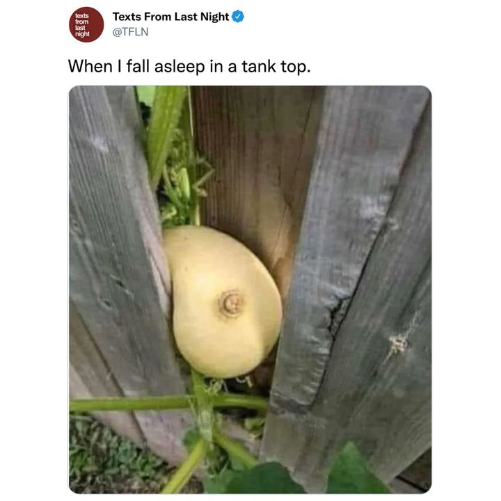 relatable boobs memes - tank top vegitable growing in fence