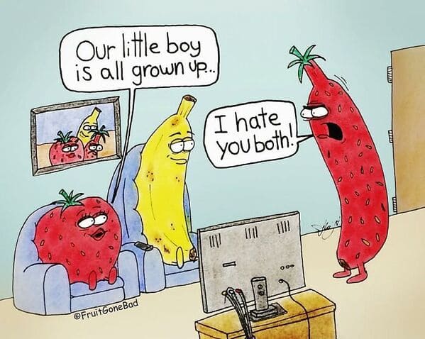 funny inappropriate comics - fruit gone bad - i hate you both strawberry banana