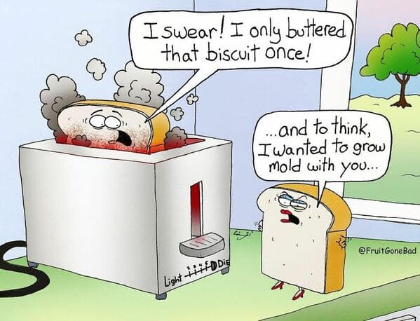 funny inappropriate comics - fruit gone bad - bread in toaster