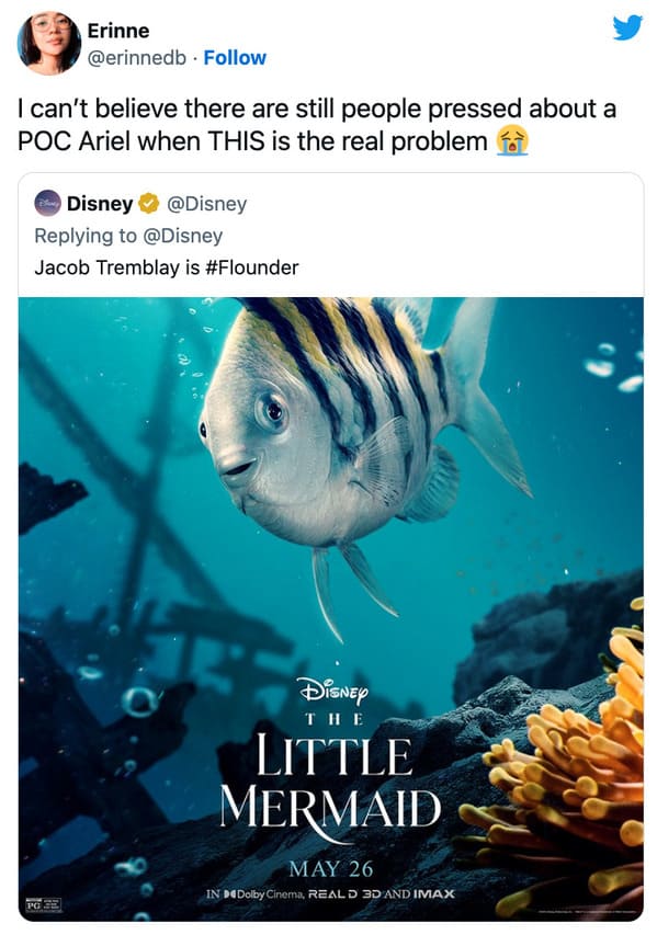 live action little mermaid flounder - can't belive people pressed about poc ariel when this is the real problem
