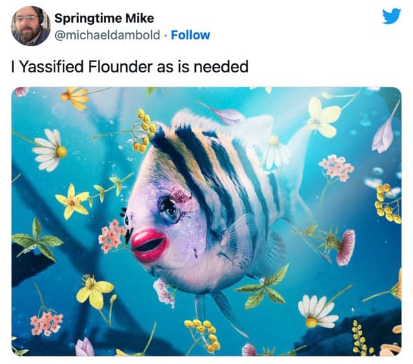 live action little mermaid flounder - i yassified flounder